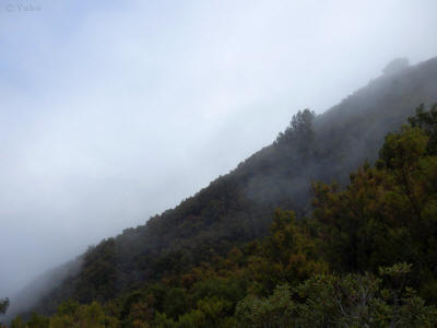 el-hierro-0934y-kaldera-prales