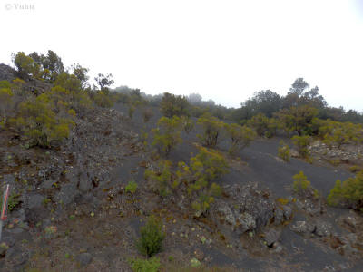 el-hierro-0947y-lavovy-proud