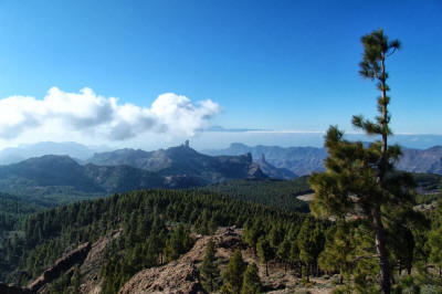 gran-canaria-hel524-roque-nublo