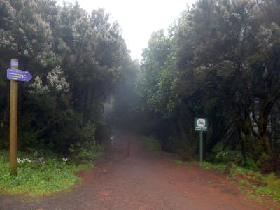 la-gomera-0020y-rozcesti