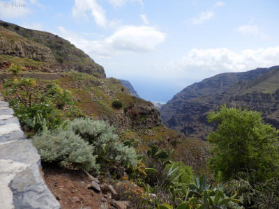 la-gomera-0049y