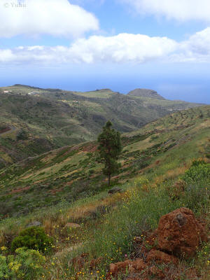 la-gomera-0317-jizni-svahy