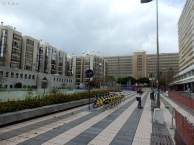las-palmas-moderni-1061y.jpg