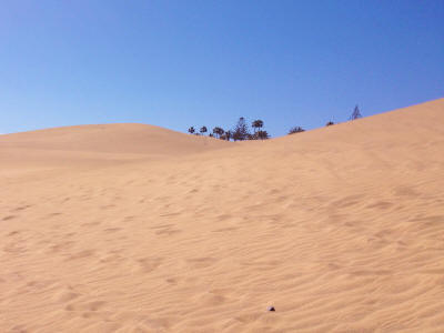 maspalomas-duny