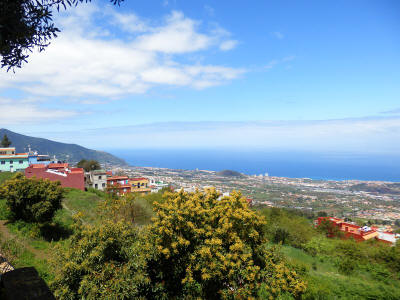 puerto-de-la-cruz-tenerife-0804y
