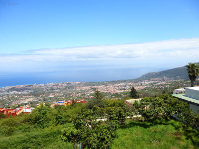 puerto-de-la-cruz-tenerife-0805y
