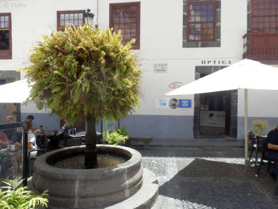 santa-cruz-de-la-palma-0344y-kasna